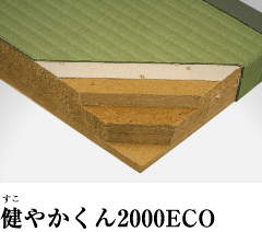 健やかくん2000ECO